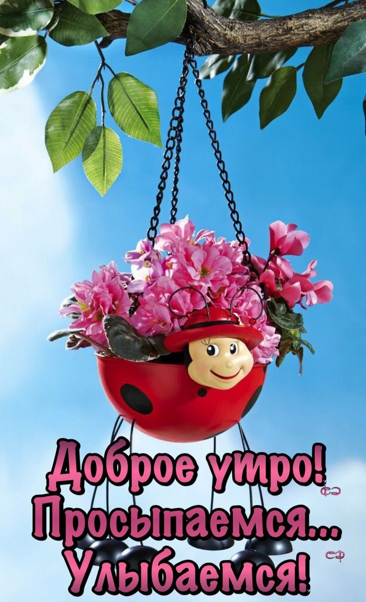 Радостного дня и хорошего настроения