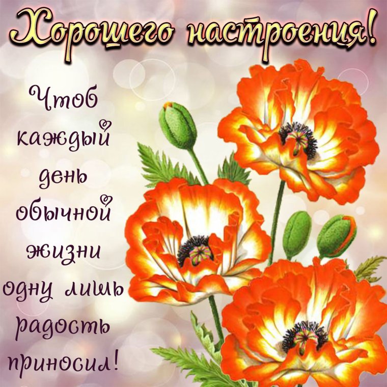 Открытки с надписью хорошего настроения