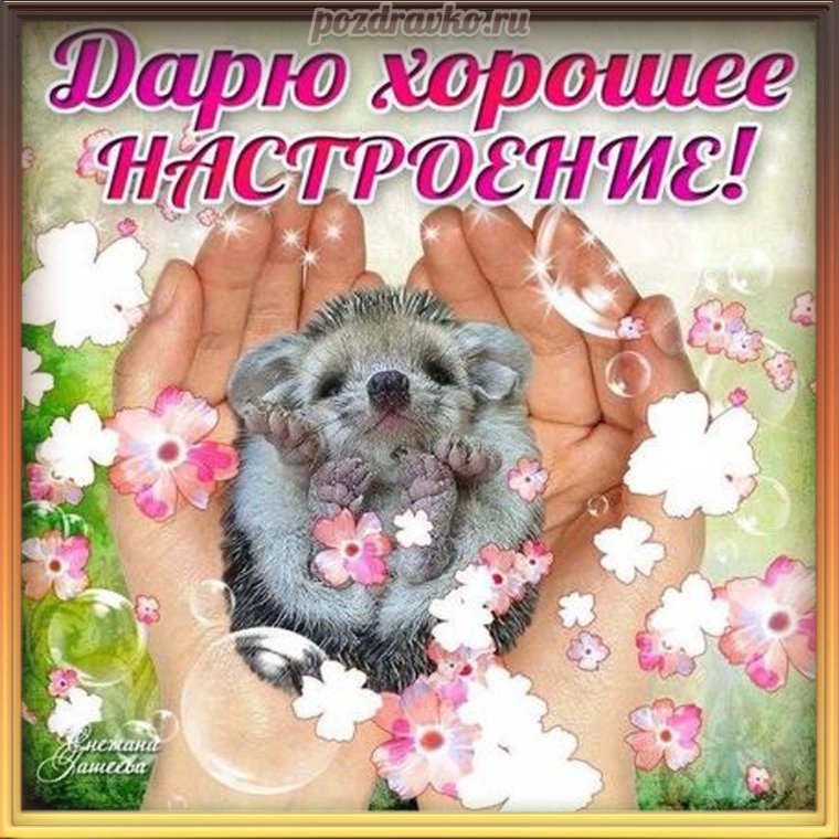 Открытки отличного настроения