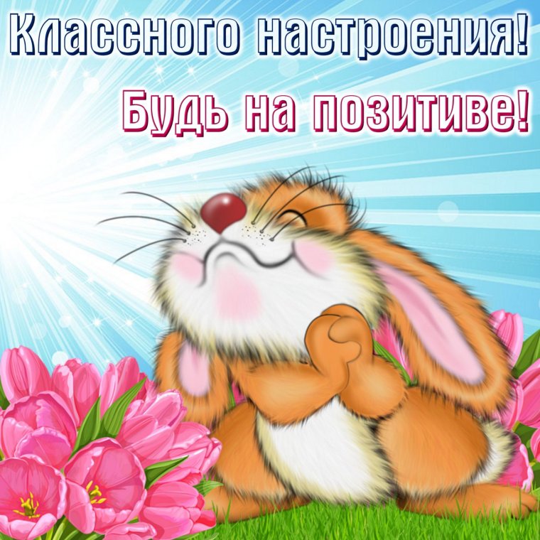 Красивые картинки для поднятия настроения