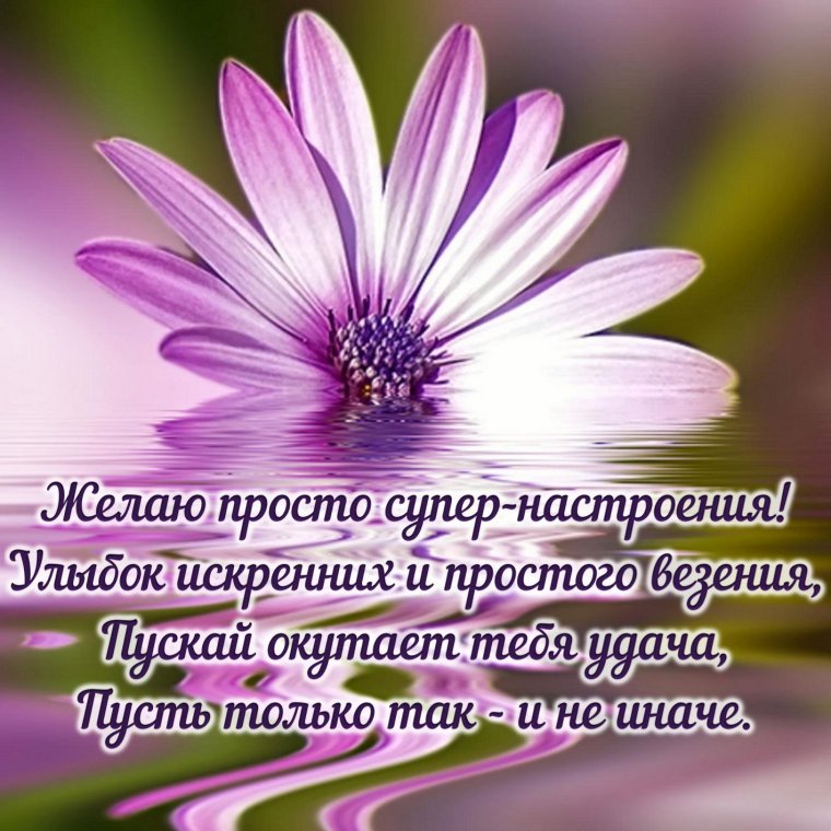 Пожелания доброго дня