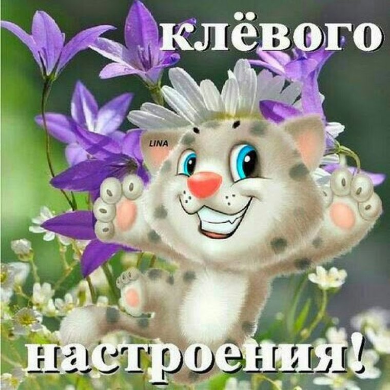 Позитивного настроения и удачного дня