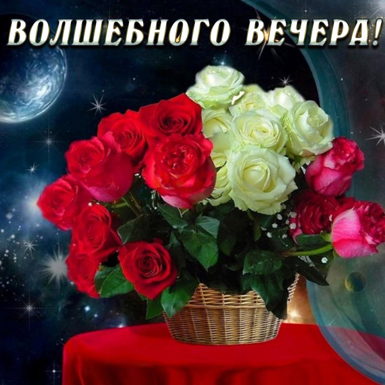 Добрый вечер цветы