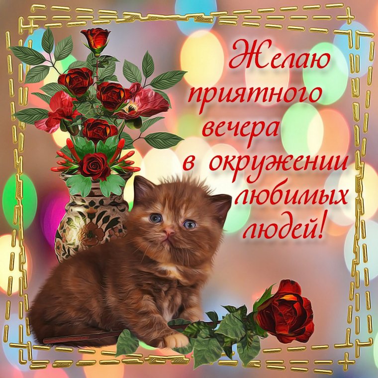 Оригинальные пожелания на вечер