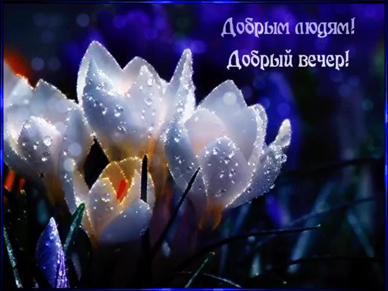 Добрый вечер анимация