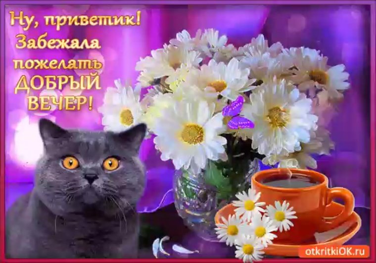 Красивые пожелания доброго вечера