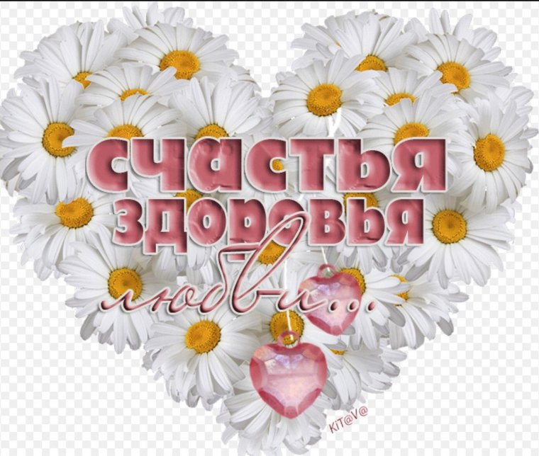 Пожелания счастья и здоровья