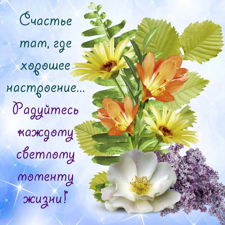 Поздравления на каждый день