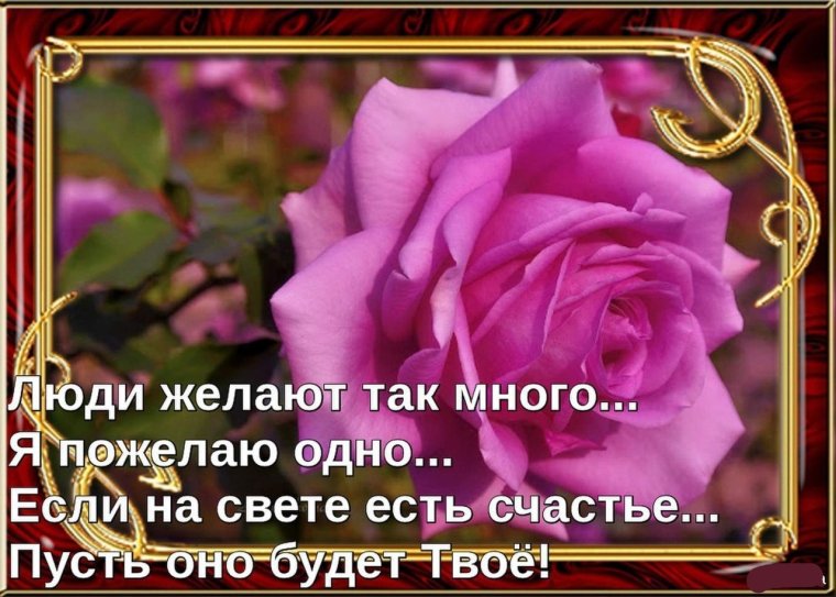 Добрые пожелания хорошему человеку