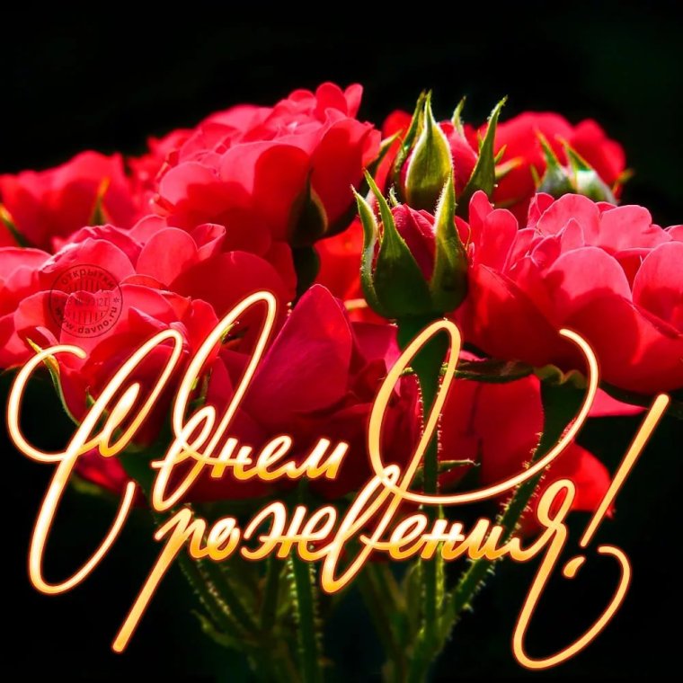 Поздравления с днём рождения саше