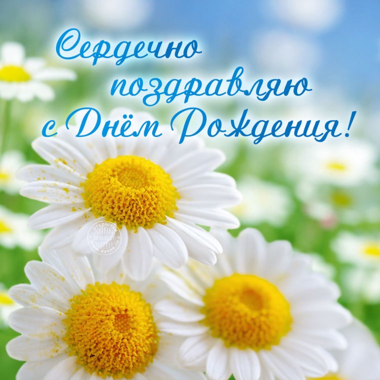 Поздравления с днём рождения летом