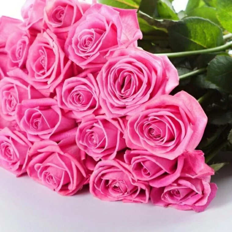 С днём рождения Диана