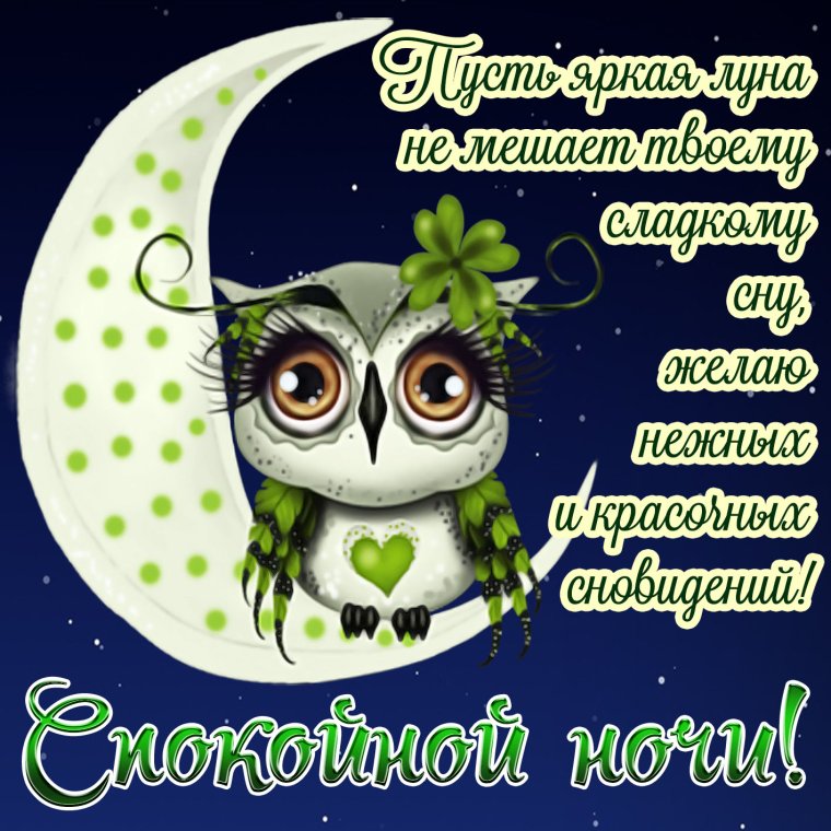 Открытки доброй ночи прикольные