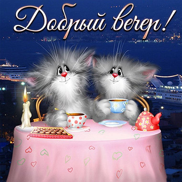 Котики Алексея Долотова спокойной ночи