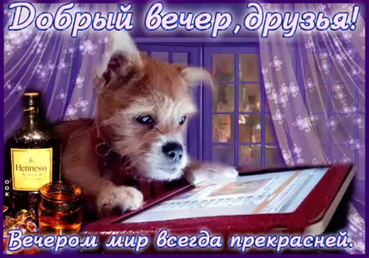 Открытки уютного зимнего вечера