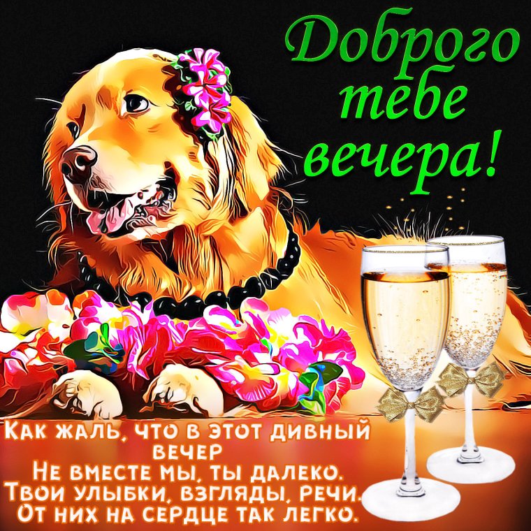 Поздравление с добрым вечером