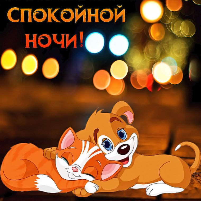 Доброй ночи