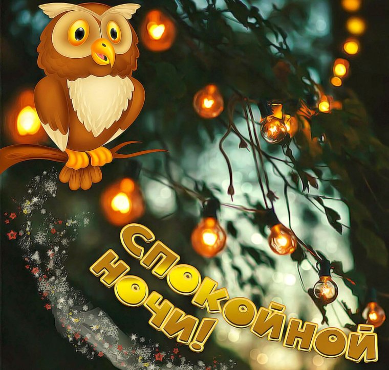 Красивые поздравления с добрым вечером