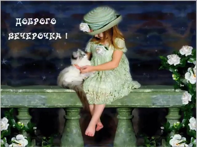 Красивые поздравления с добрым вечером