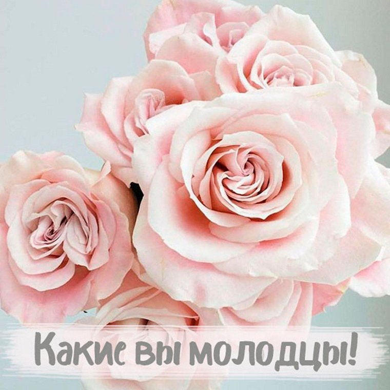 Открытки классно