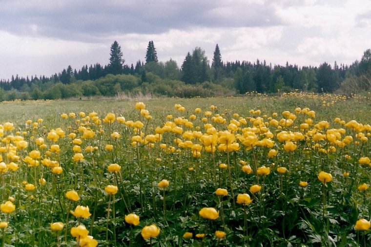 Природа Удмуртии Италмас