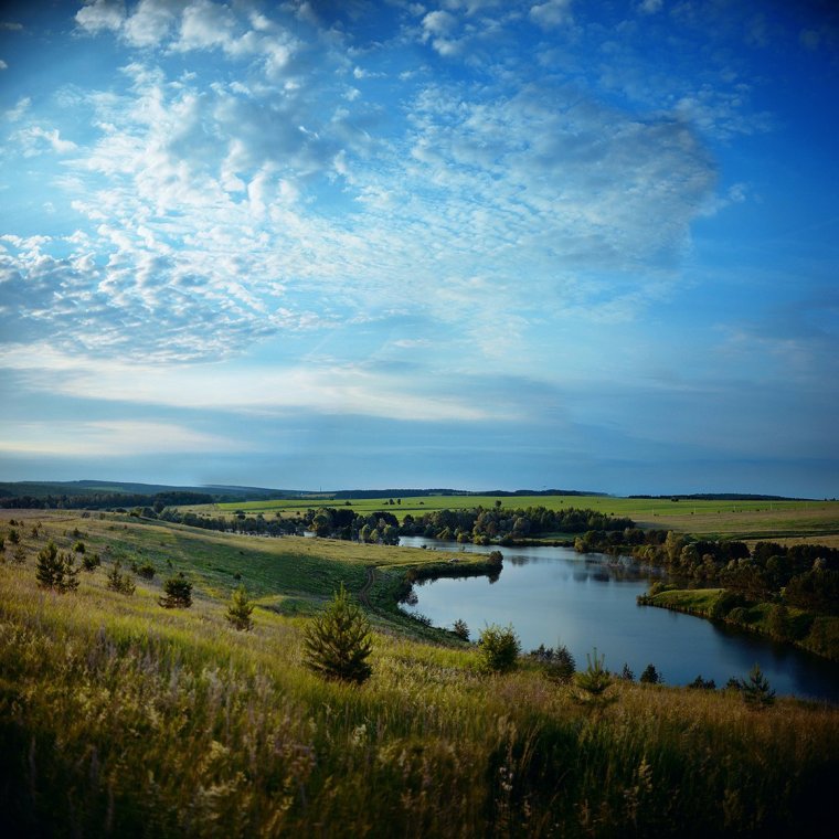 Родниковый край поле Удмуртия