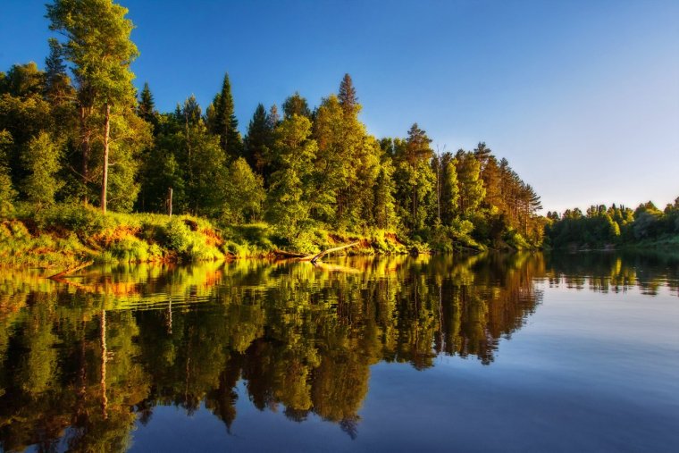 Река Кильмезь Кировская область