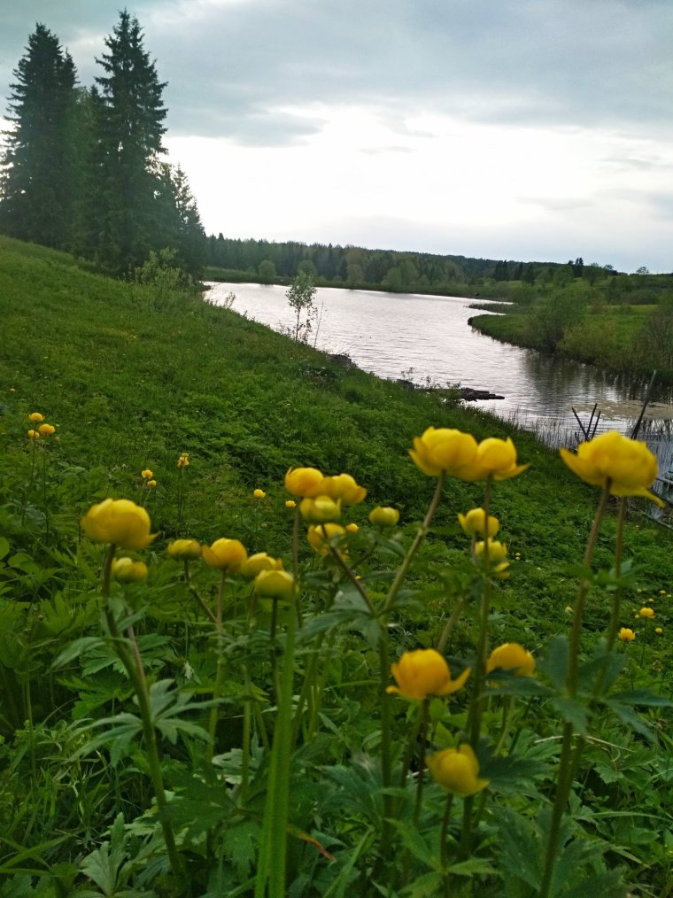 Удмуртия Италмас