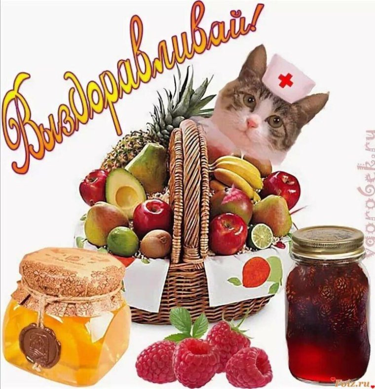 Выздоравливай!