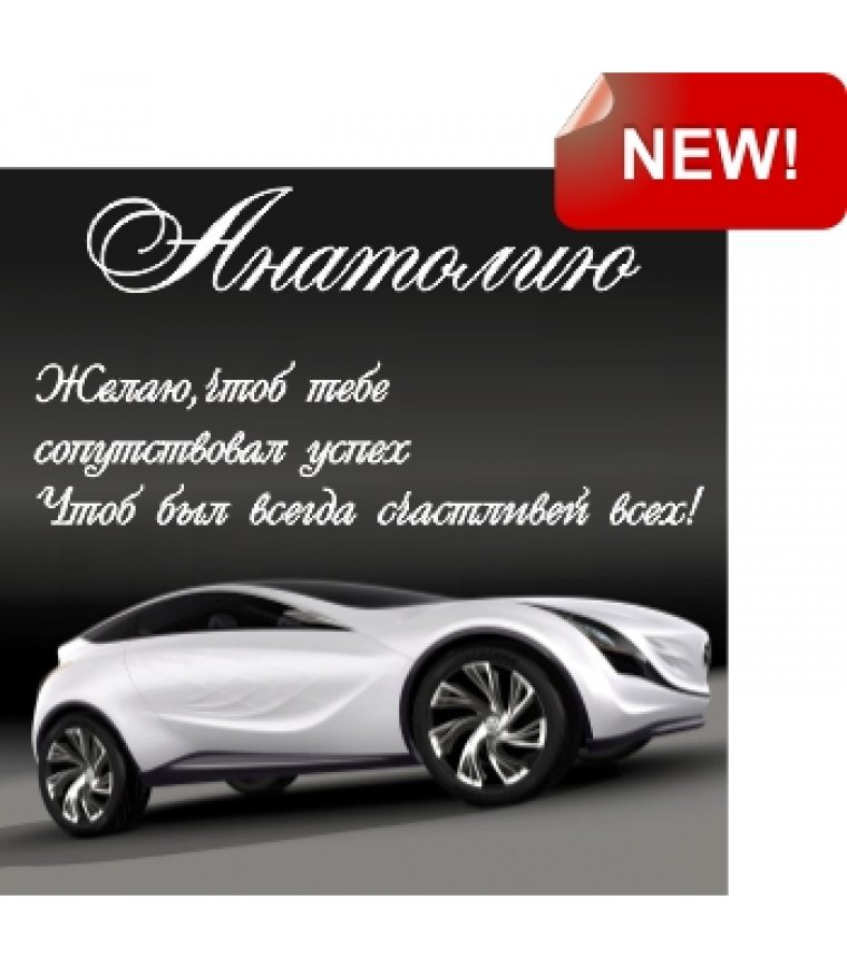 С днём рождения Анатолий