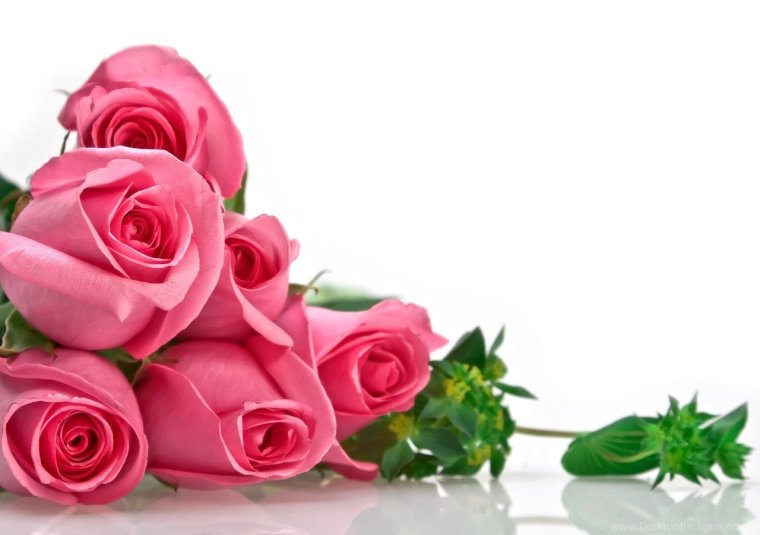 Поздравления с днём рождения на татарском языке