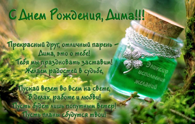 С днём рождения Дима