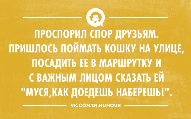 Смешные высказывания про кухню