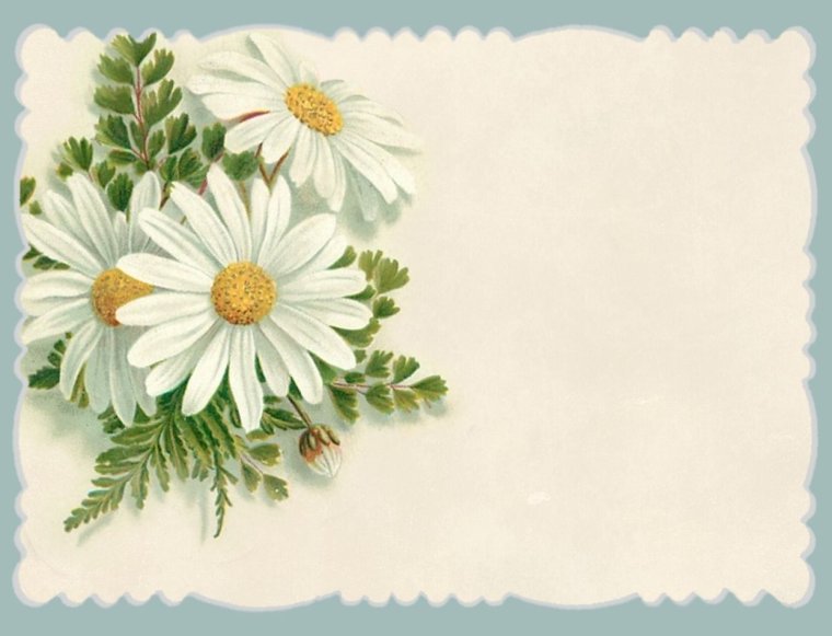 Образец открытки