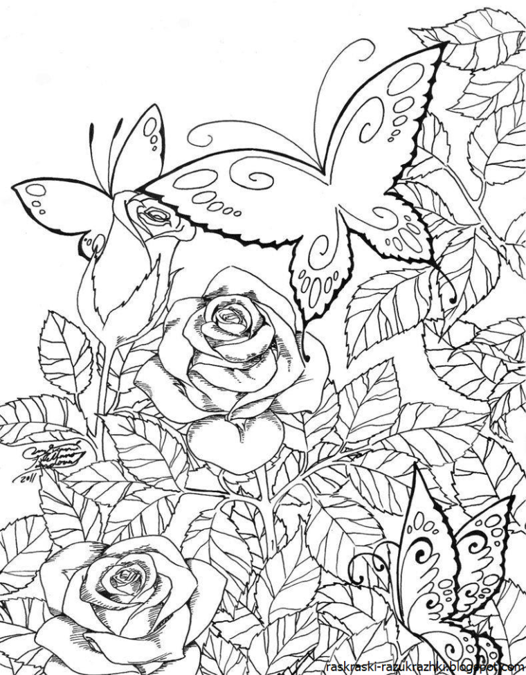 Цветы и бабочки. Раскраска