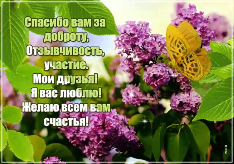 Поздравок.ру открытки