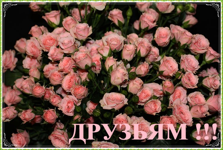 Цветы друзьям