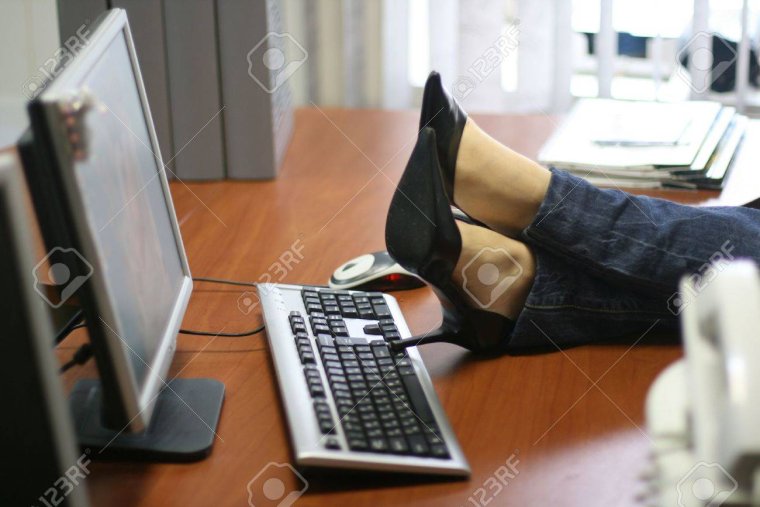 Заяц на работе