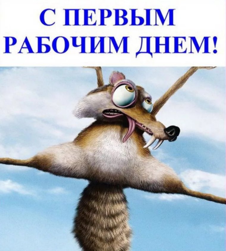 С первым рабочим днем
