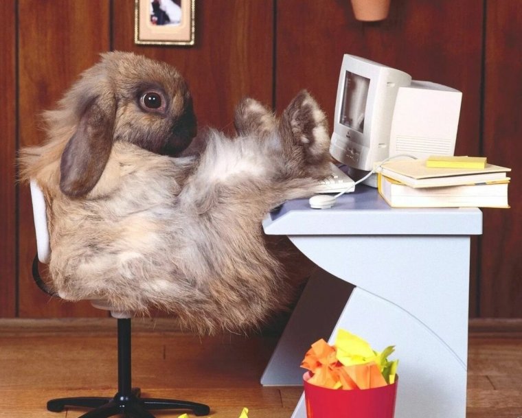 Поздравление с пятницей прикольные