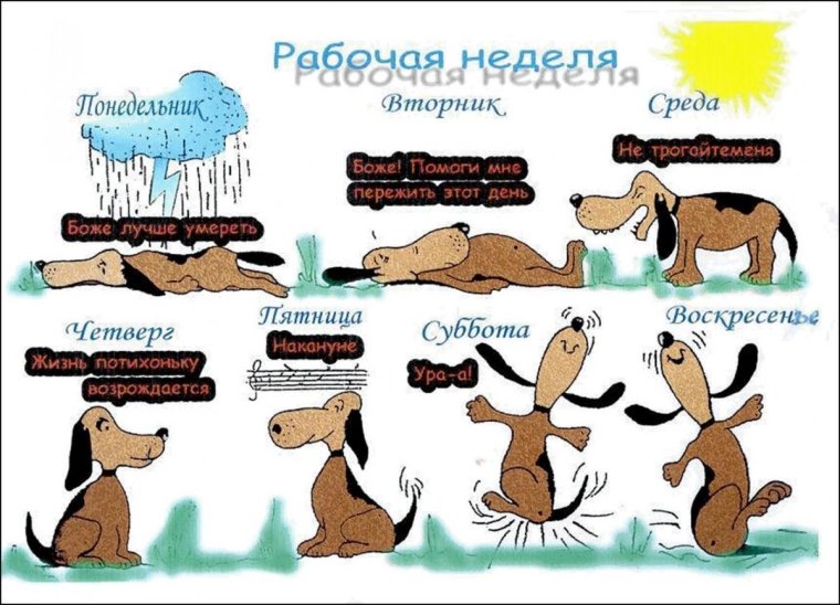 С рабочей неделей картинки прикольные