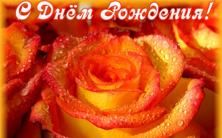 Поздравления с днём рождения женщине