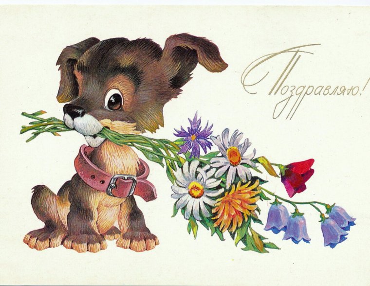 Открытки автора Зарубина