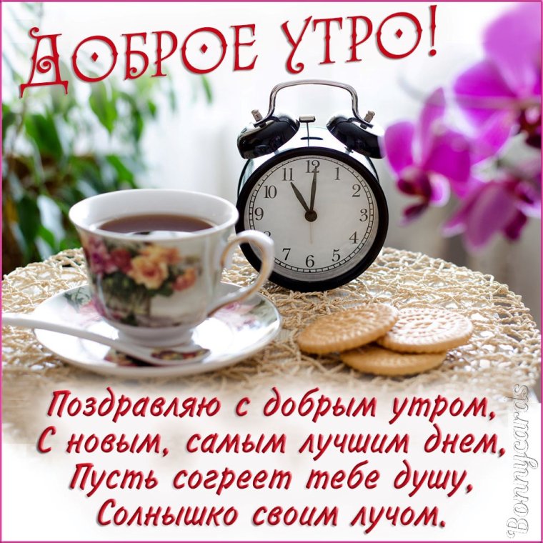 Пожелания с добрым утром всем