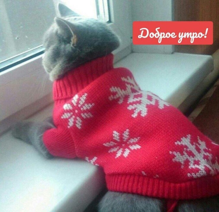 Доброе утро похолодало