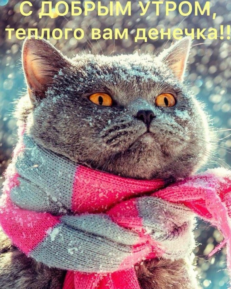 Одевайся теплее