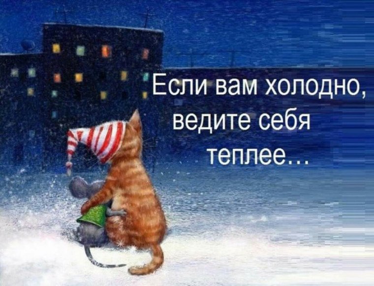 Цитаты про холод