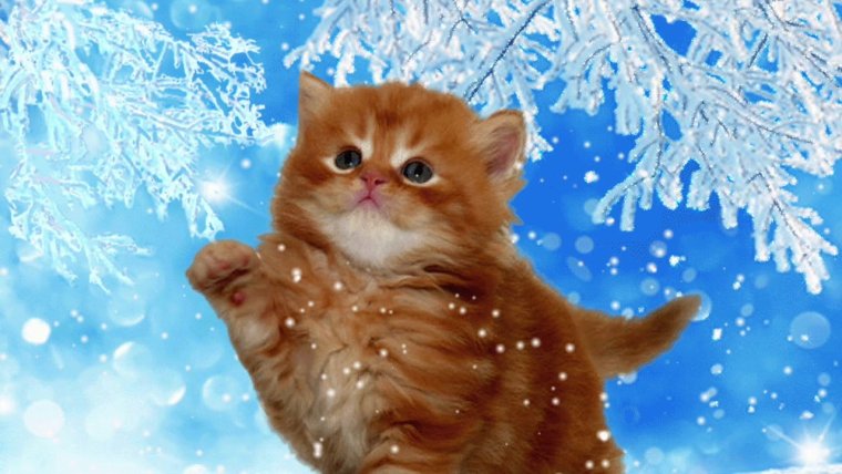 Зимние открытки для поднятия настроения