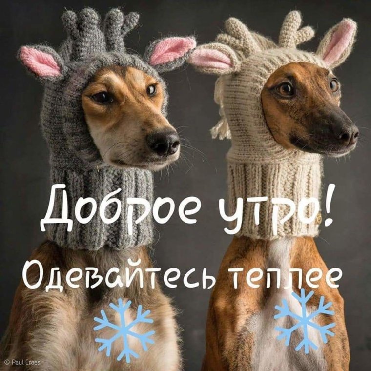 Доброе Холодное утро