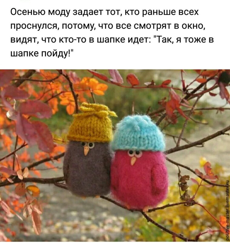 Доброе Холодное утро
